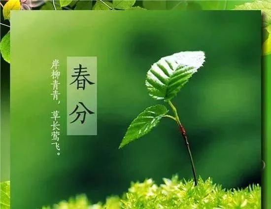 属龙76年风水开运哪种好_1978年属马的风水楼层_2018年属鸡人买房风水