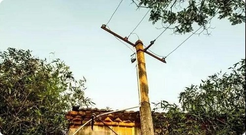 农村住宅大门风水最忌枯树、空心树、歪脖子树