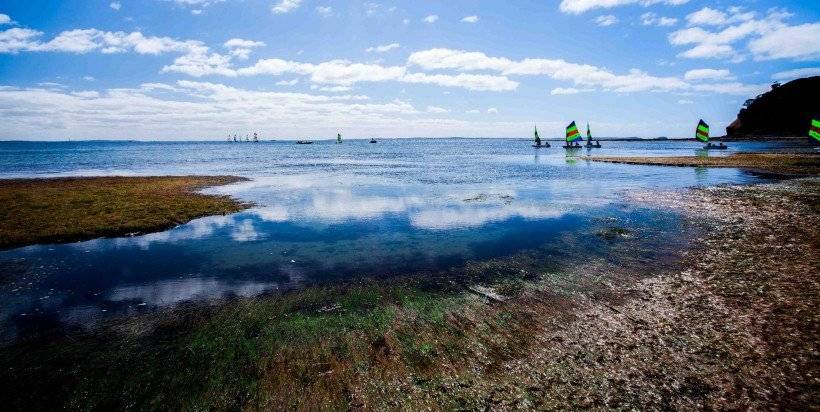 十二生肖遇流年_大运七杀遇流年偏财_壬申日遇流年丁酉