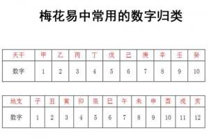 最新整理梅花易数基础知识