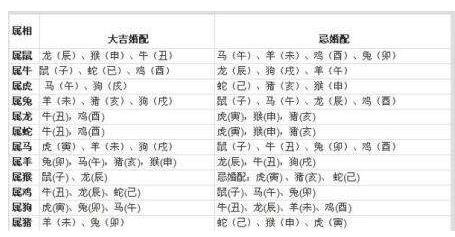 属相婚配的有科学依据吗生肖配对姻缘是的吗