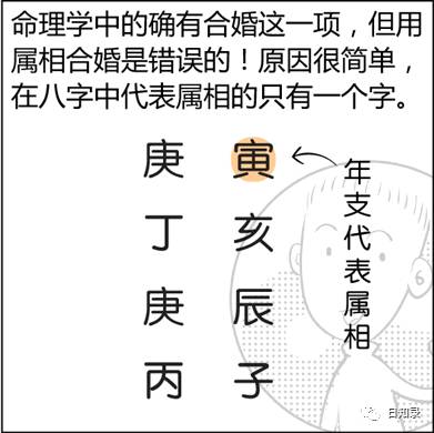 属相解密_生肖配对羊男女虎_属相婚配相克口诀