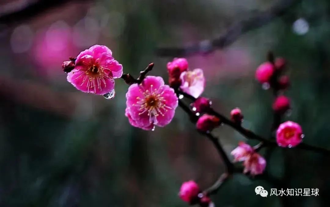 风水堂：《梅花易数》的启示