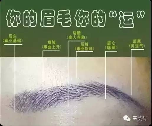 风水学眉毛_开运风水眉毛_眉毛是风水吗