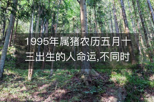 1995年属猪农历五月十三出生的人命运,不同时辰八字运势详解