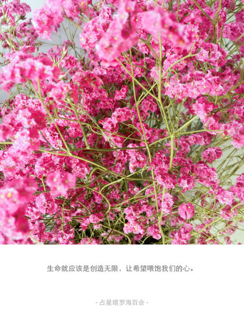 风水堂:命带桃花啥意思八字看桃花流年