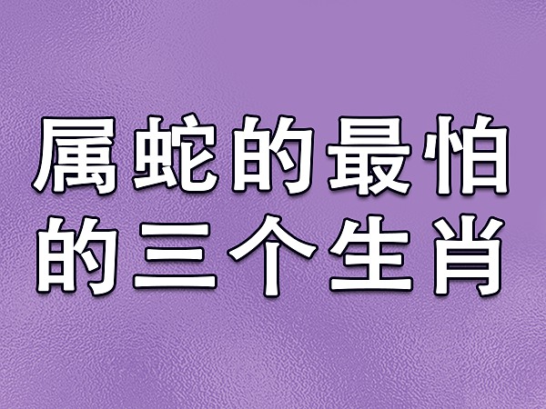 属相婚配羊蛇相配好吗_属相羊婚配和蛇_婚配羊和蛇配吗