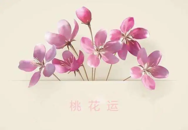 桃花位咋查_桃花位查询_算桃花位