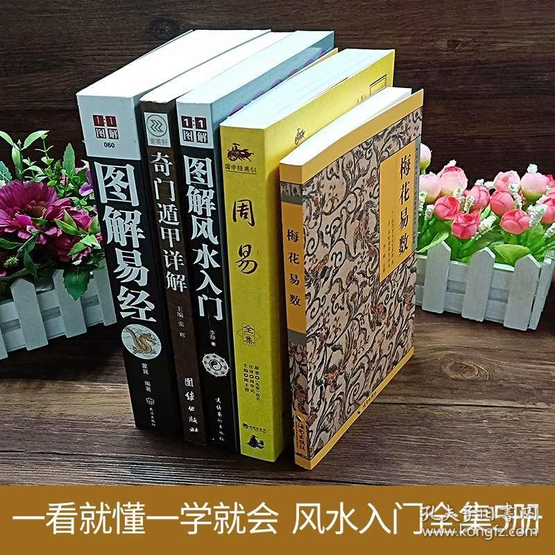 易学古籍占卜指南图解_占卜古书籍大全_指南图解占卜古籍易学pdf