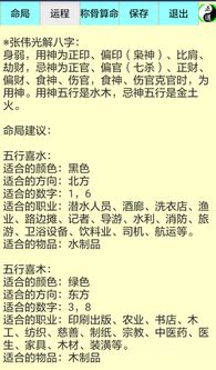 个人命盘详解(免费版)