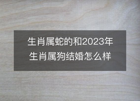 属蛇的人和属狗的人在2023年结婚怎么样