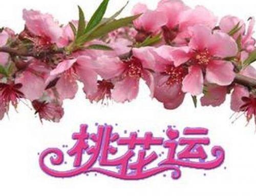 在线查八字查桃花位_八字免费查桃花_八字中18种桃花查法