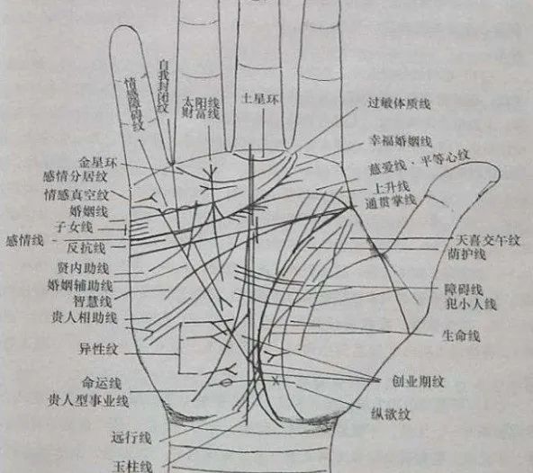 掌相学基本知识_中医学基础要掌握的知识_掌相学说