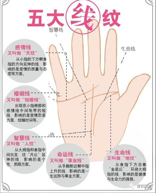 掌相学说_掌相学基本知识