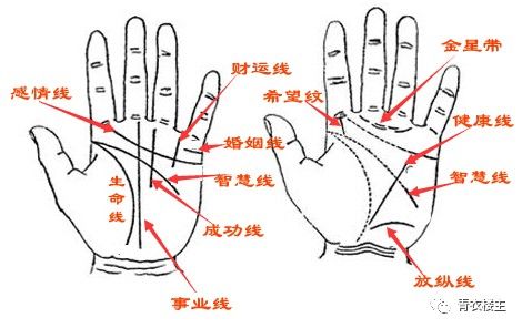 掌相学说_掌相学基本知识