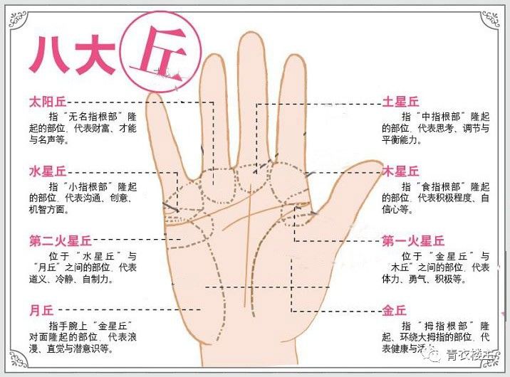 掌相学基本知识_掌相学说