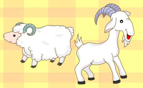 属羊人2021年学业上运势十二生肖中生肖羊