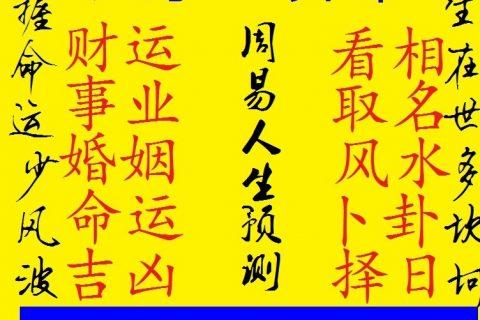 十二生肖今日运势查询水12生肖每日运程解析