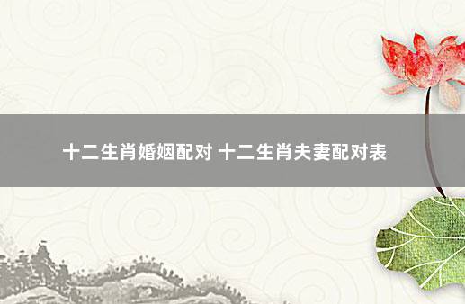 八字婚配属相表大全查询_八字婚配属相查询免费_八字属相