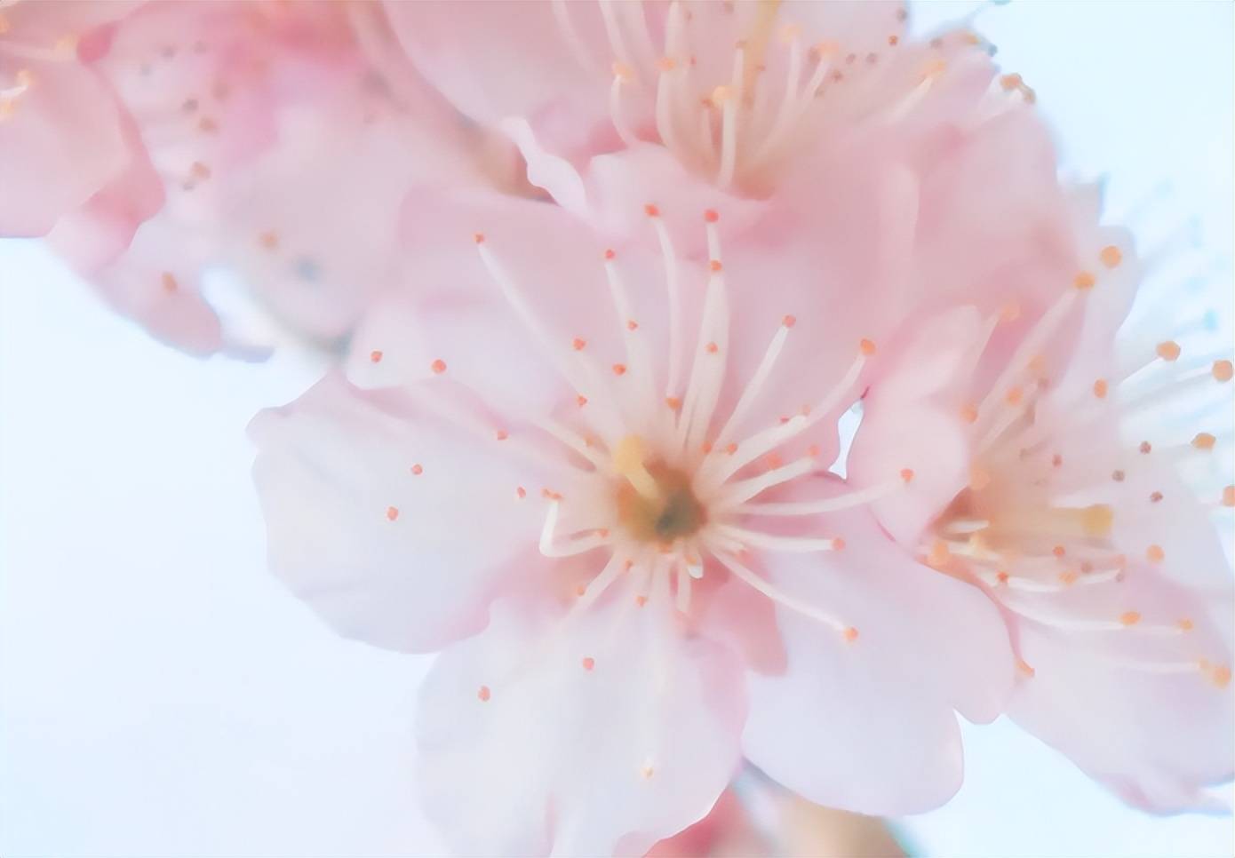 生肖流年运势运程_生肖流年运势运程_生肖流年运势运程