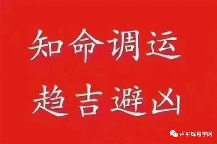 属龙的人十二生肖流年财运龙逢蛇年凡事顺利