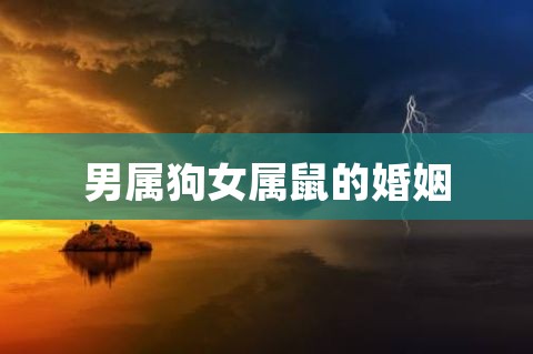 生肖狗配属相婚配_生肖配狗配什么最佳_属相婚配狗配哪个生肖呀