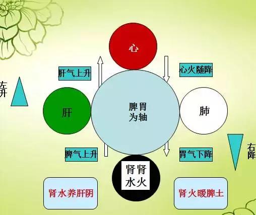 八字五行木代表身体健康吗_五行木代表的疾病_五行属木的生辰八字