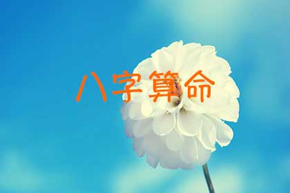 八字免费算命